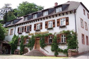 Отель Hirschgasse в Гейдельберге
