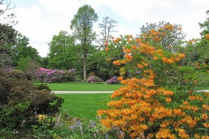 Сад Берггартен в Ганновере