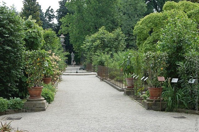 Ботанический сад в Падуе 05