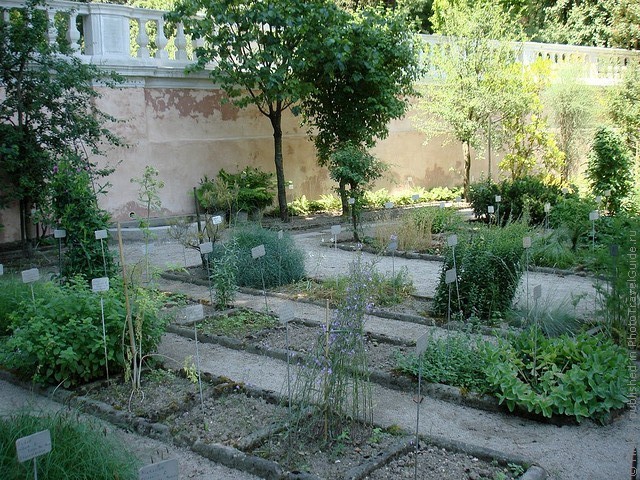 Ботанический сад в Падуе 06
