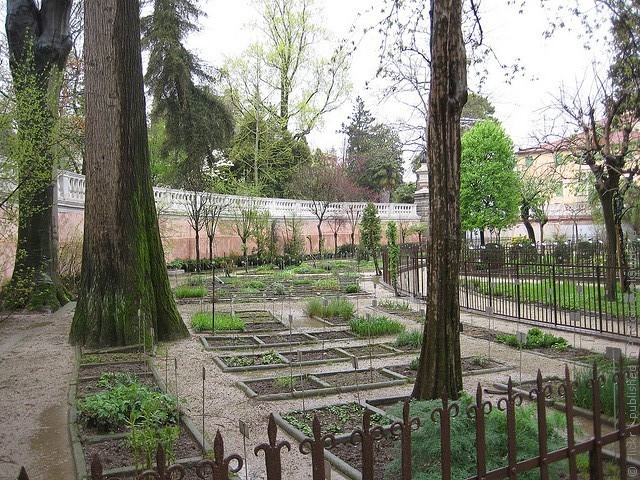 Ботанический сад в Падуе 12