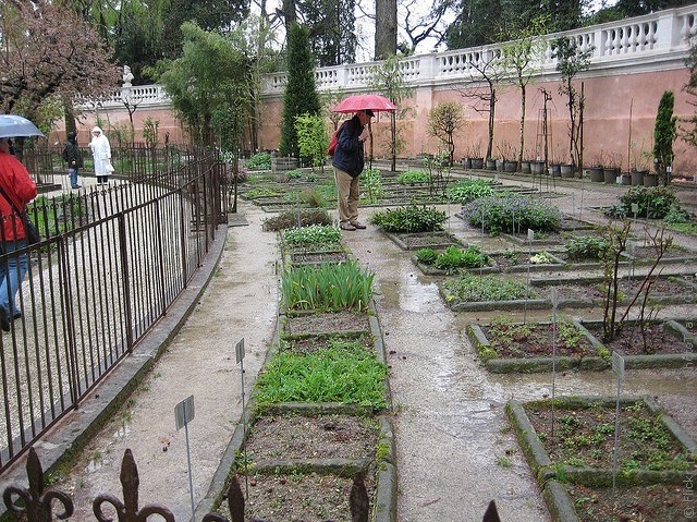 Ботанический сад в Падуе 13