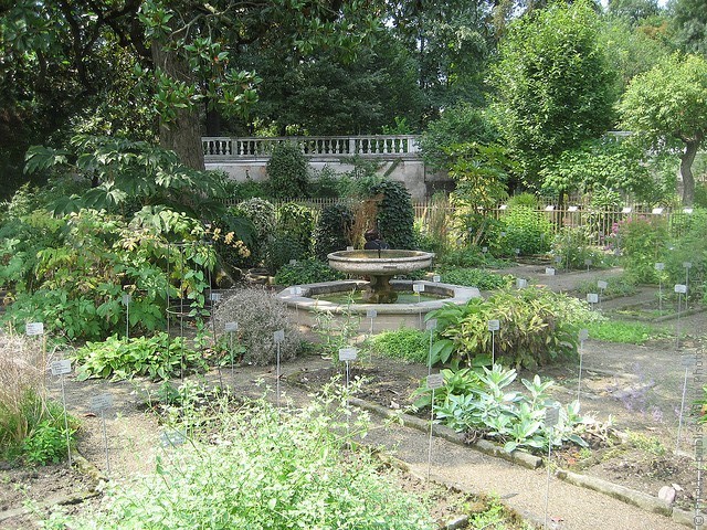 Ботанический сад в Падуе 16