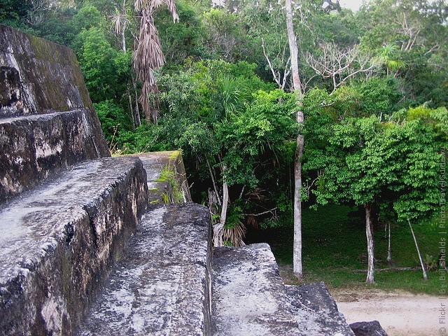 natsionalnyi-park-tikal-16