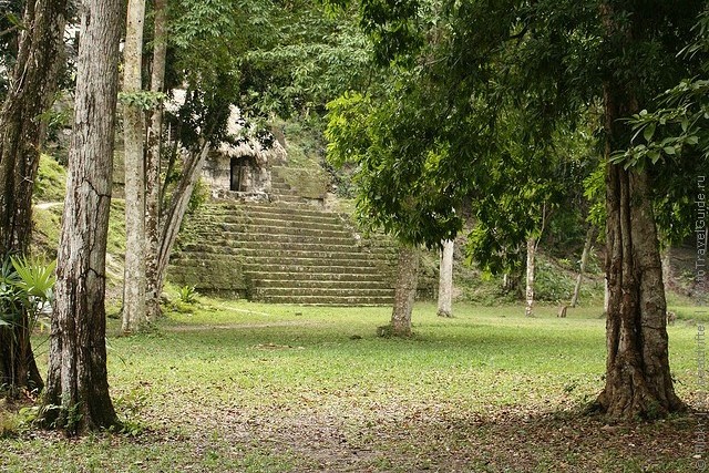 natsionalnyi-park-tikal-18