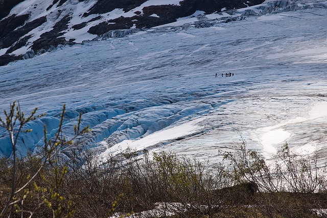 Ледяное поле Хардинг фото