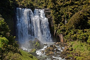Топ 10 водопадов Новой Зеландии