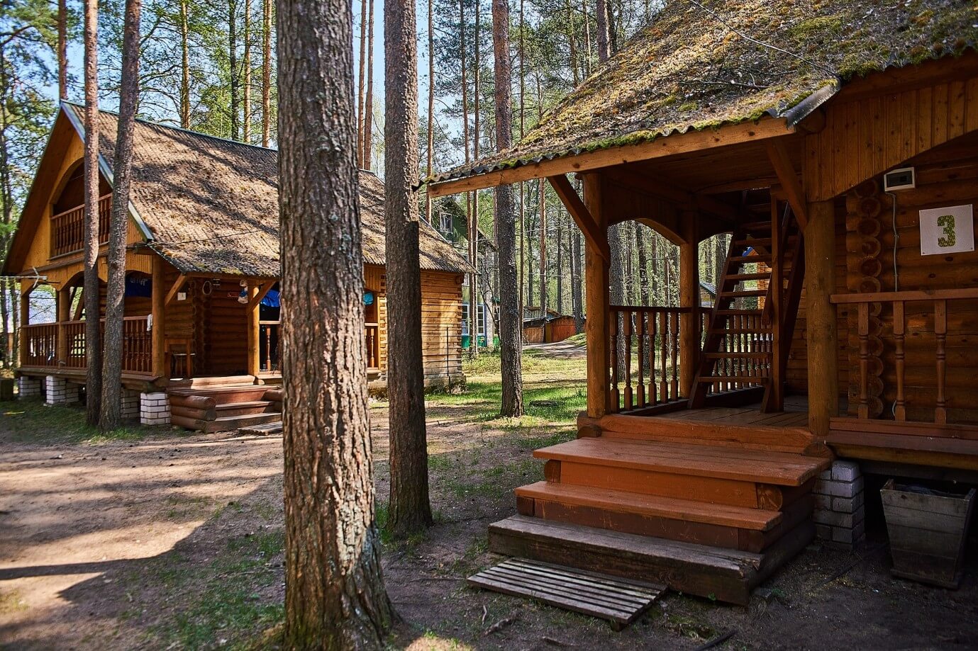 Сосновый лес, небольшие домики для отдыха.