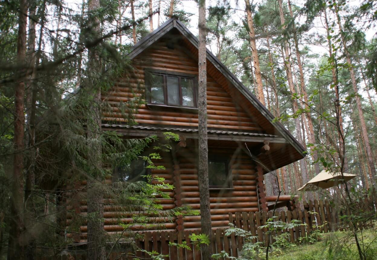 Дом в лесу.