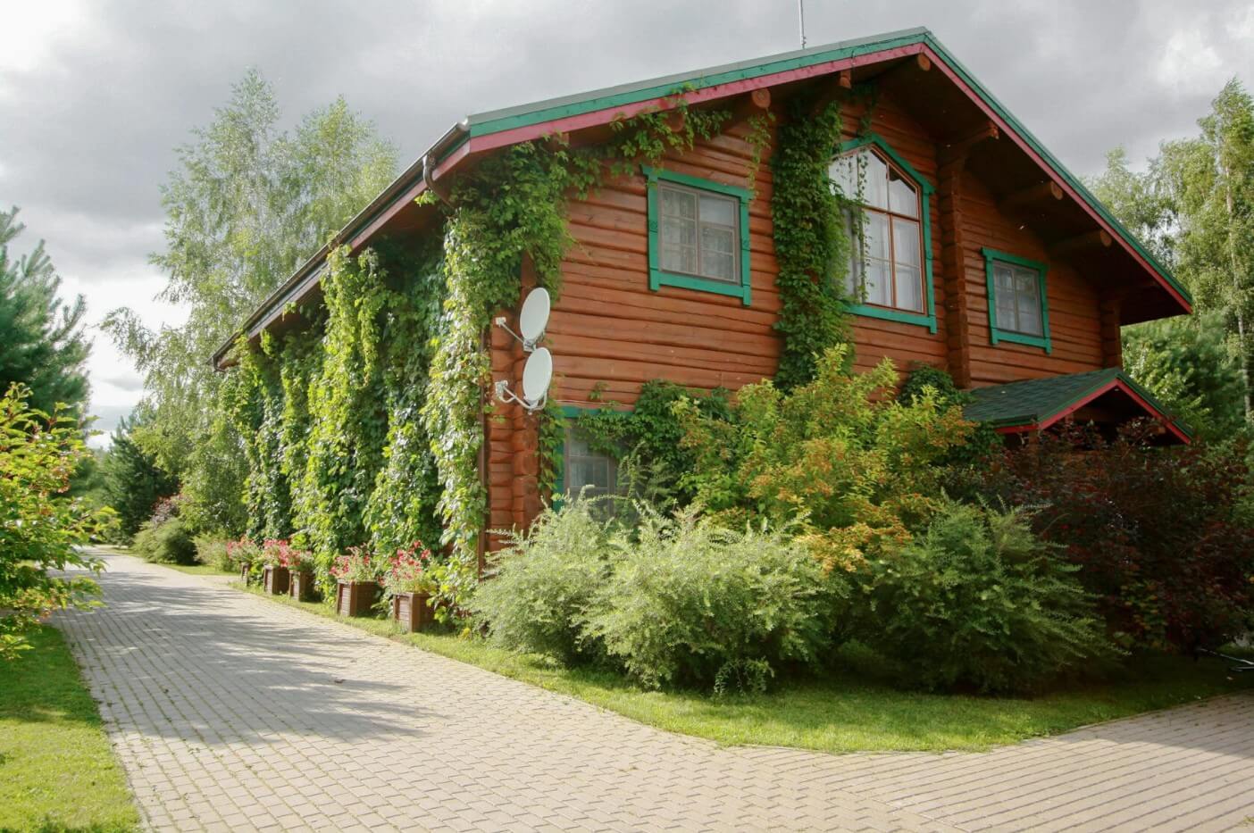 Вертикальное озеленение дома.