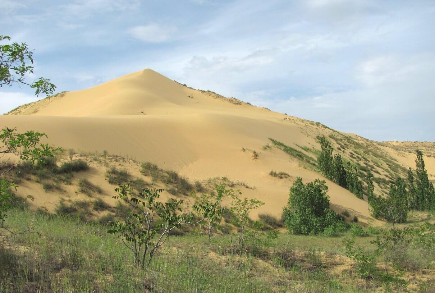 Большая песчаная дюна.