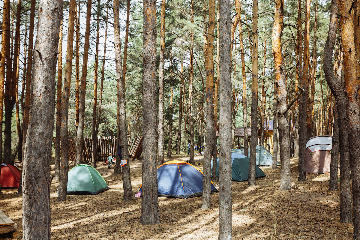 Отдых в лесу в палатке.