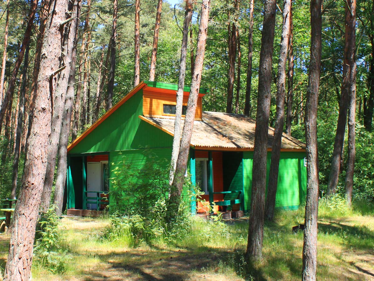 Сосновый лес, старый советский домик-отель.