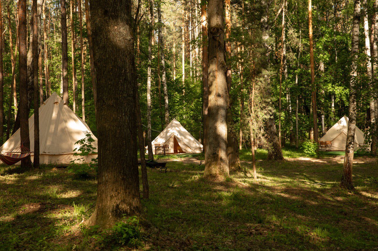Палаточный лагерь в густом, зеленом лесу.