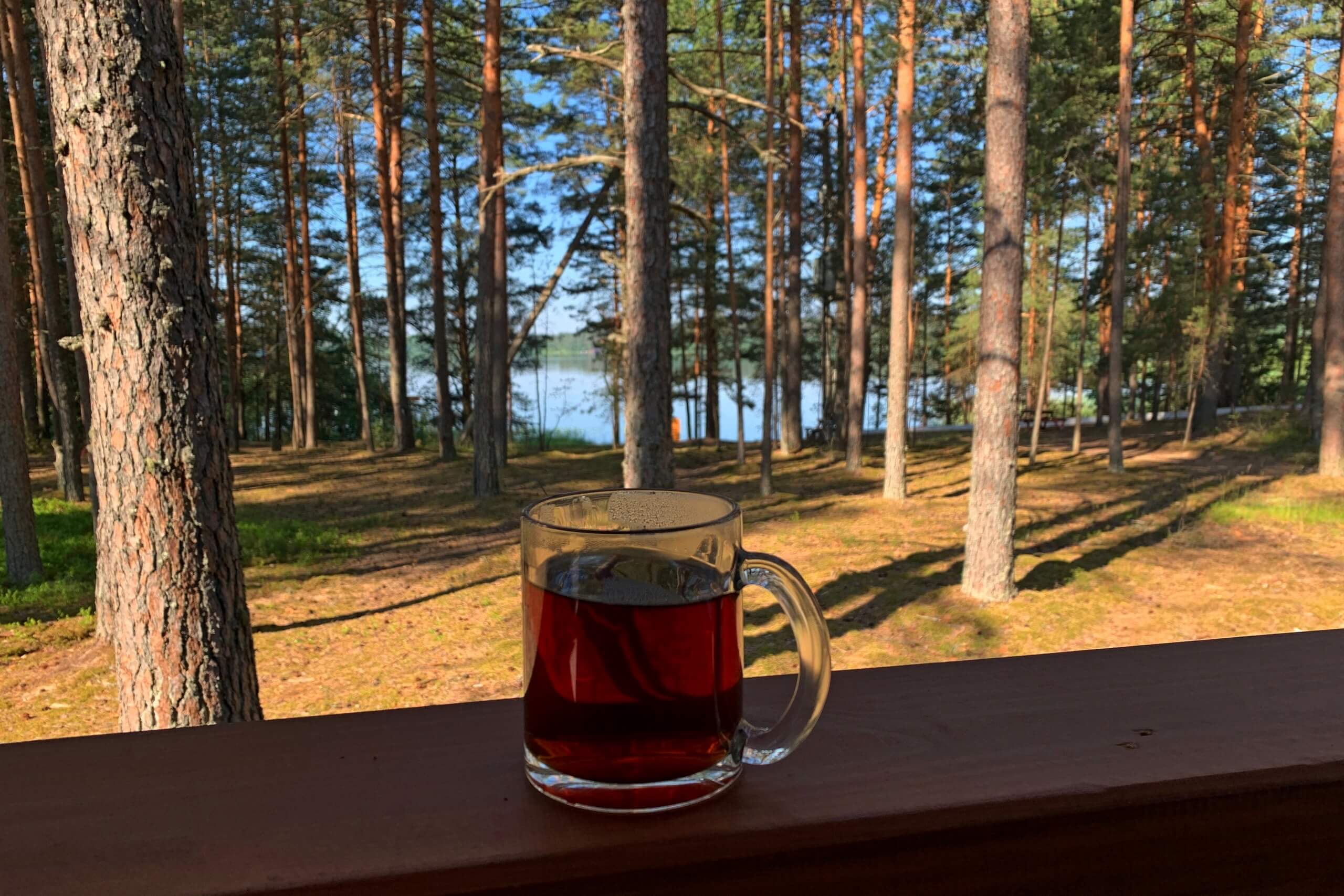 Чашка ароматного чая и вид на озеро.