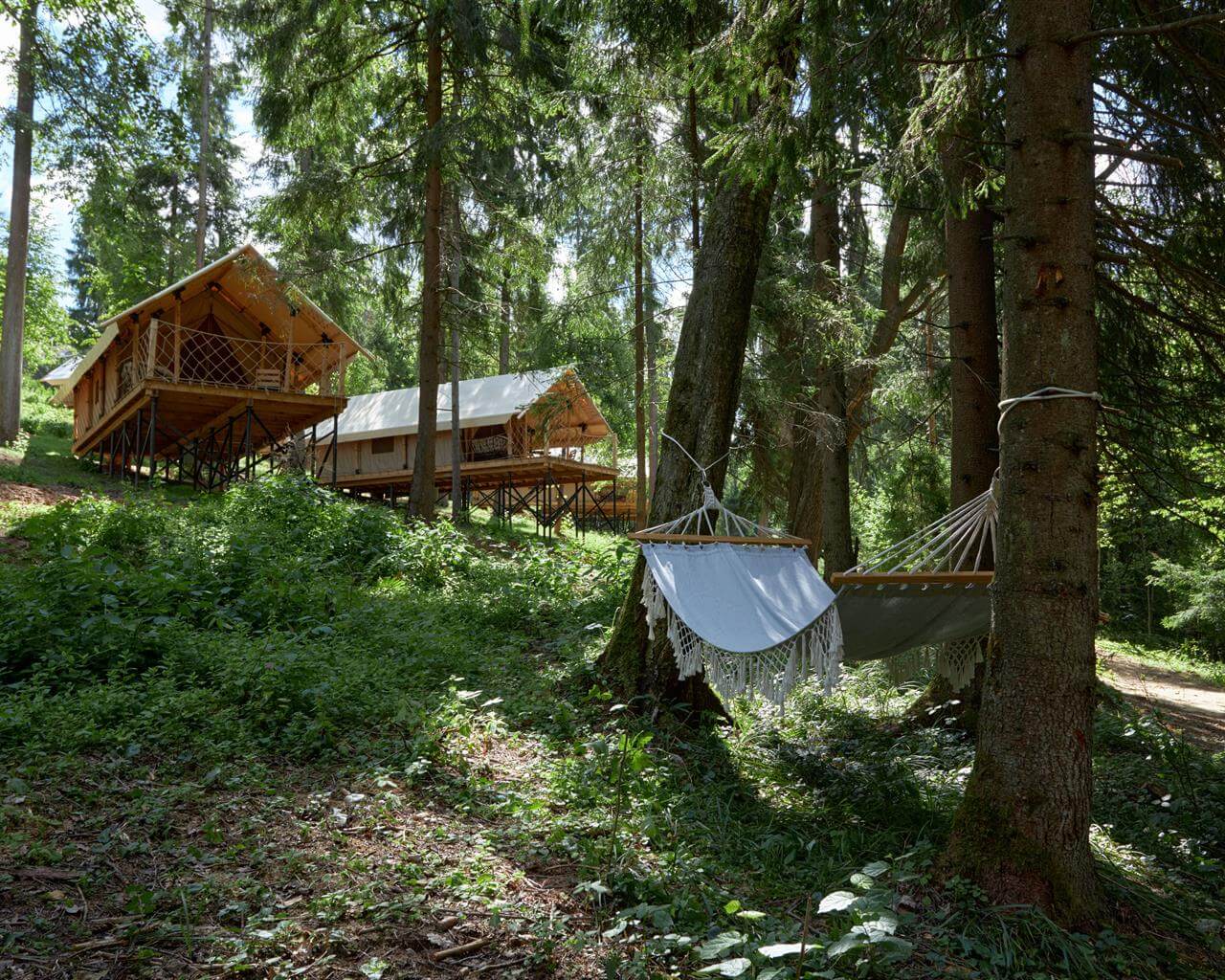 Гамак между деревьями. Сафари-палатки для отдыха.