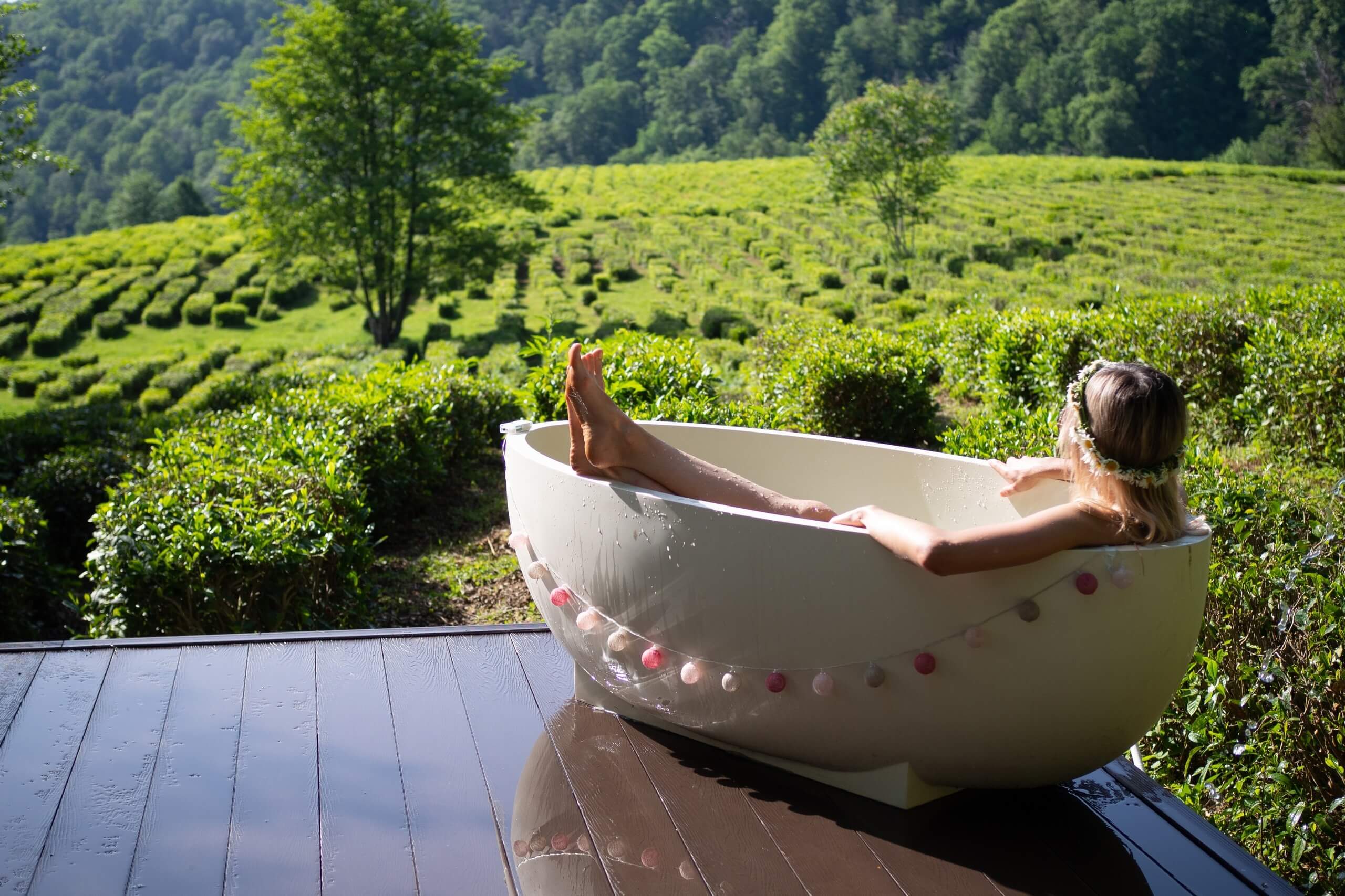 Отдых в горах Сочи с видом на чайные плантации.
