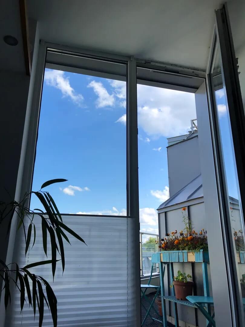 Вид из окна - на голубое Пушкинское небо.