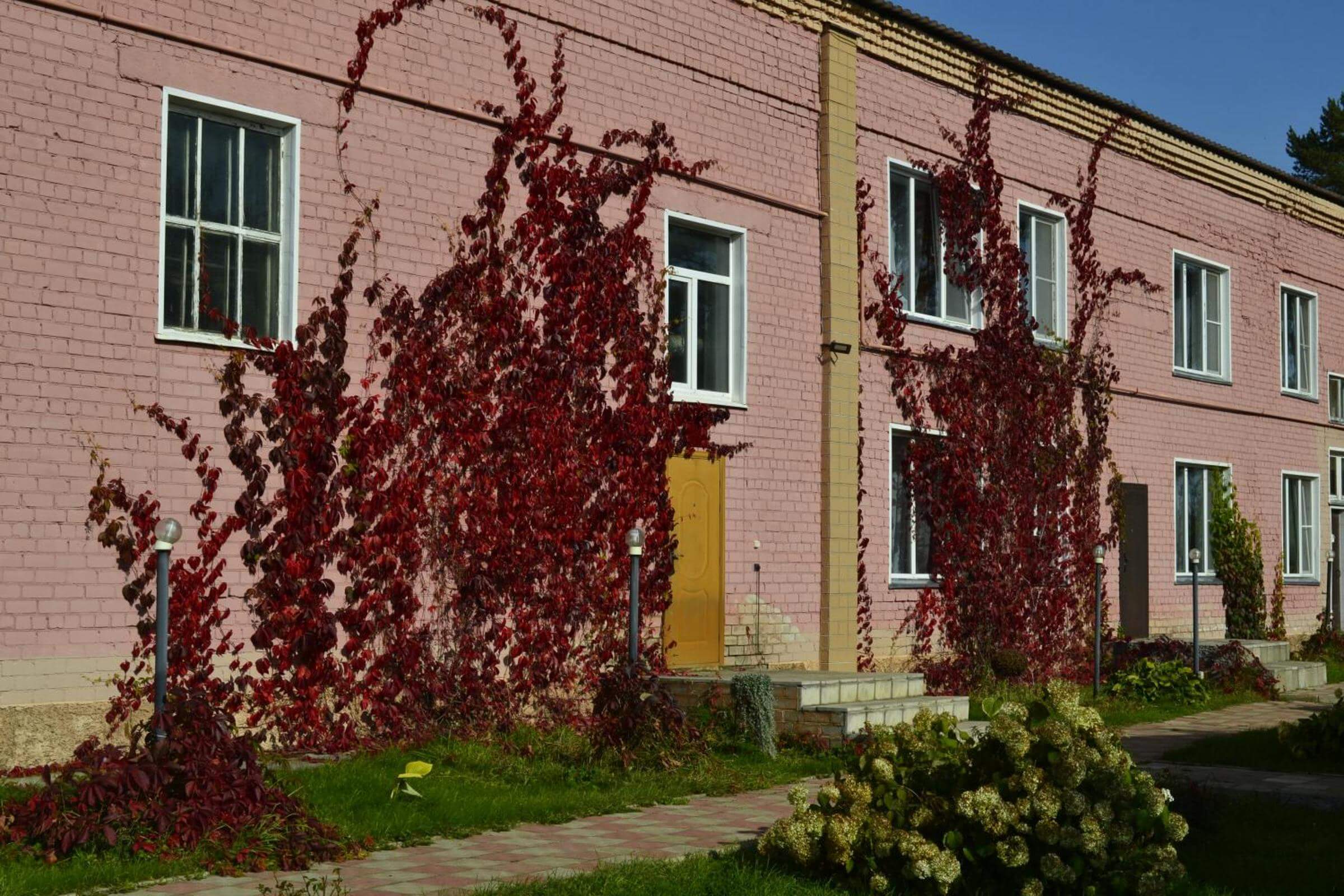 По фасаду вьются красные лианы.