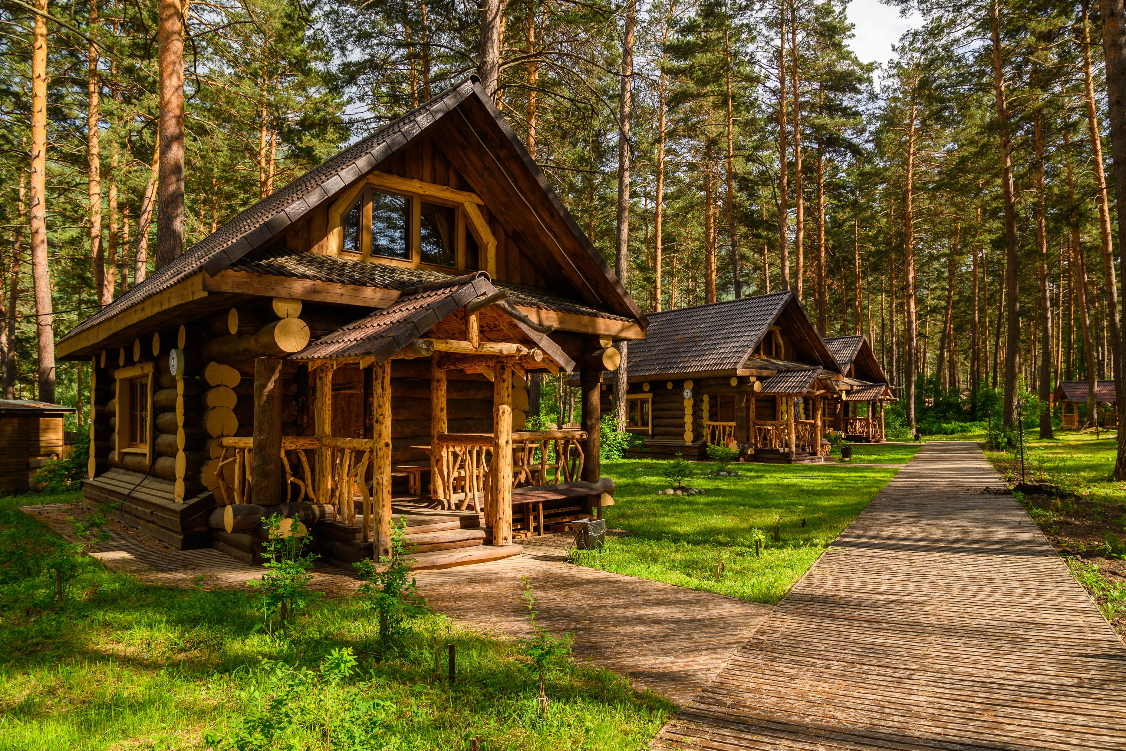 Красивые деревянные домики в сосновом лесу.