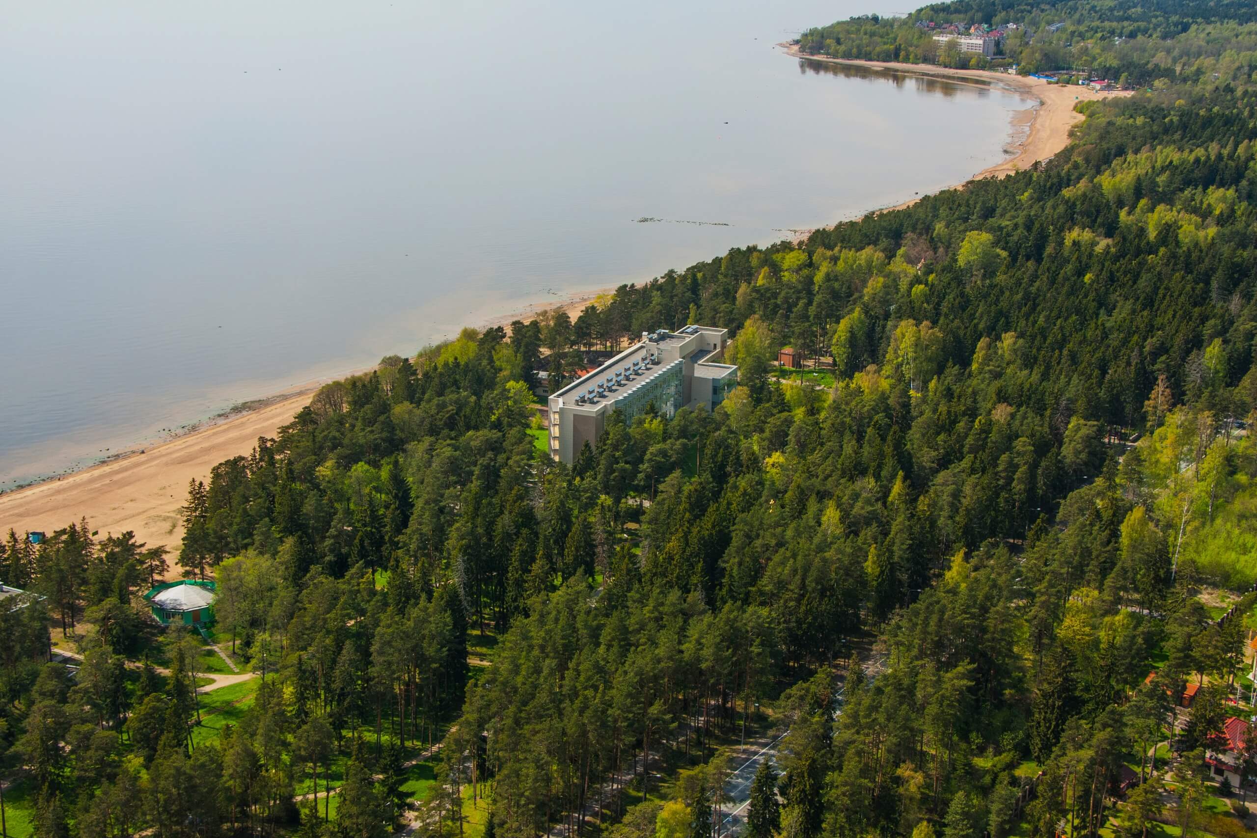 Панорамный вид: здание отеля, сосновый лес и Финский залив.