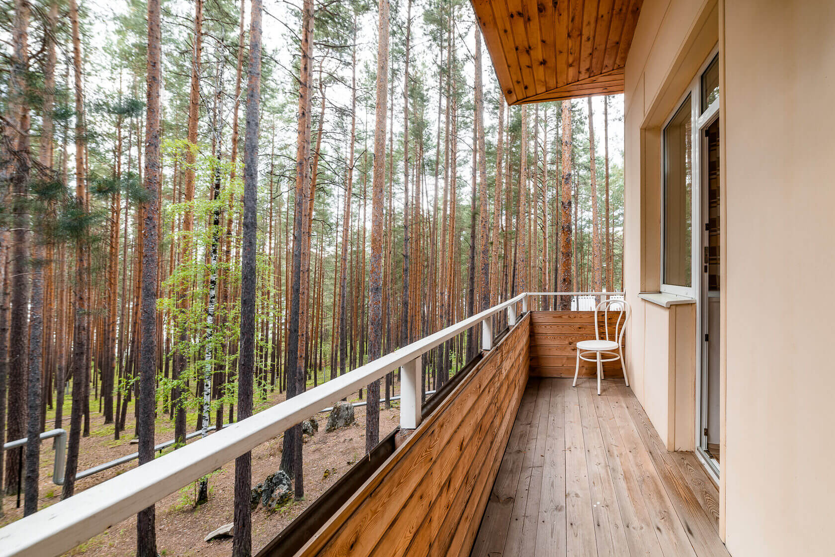 Отдыхать можно на террасе с видом на сосновый лес.